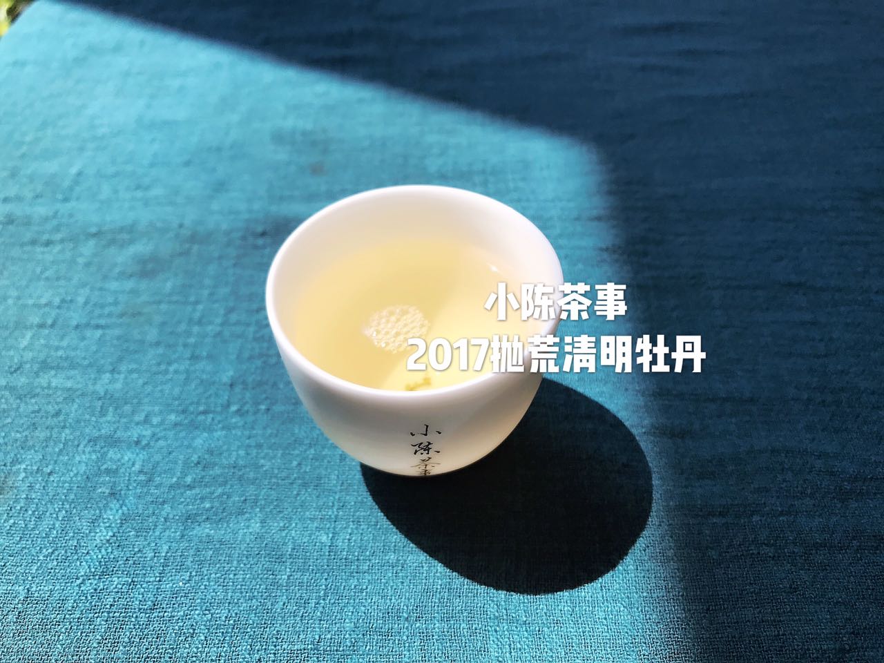 想了解白茶,花五分钟读完白茶这十个特点!