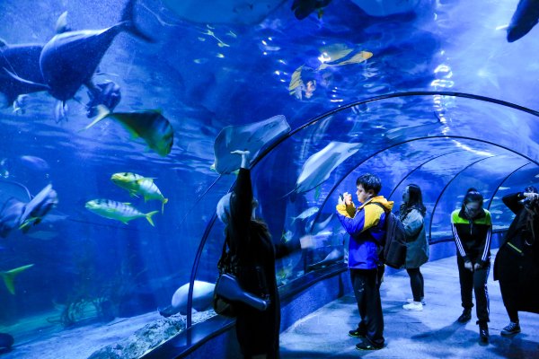 杭州极地海洋公园占地面积,杭州极地海洋公园什么时候建成