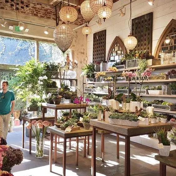 开花店需要准备什么,开一个花店需要准备哪些