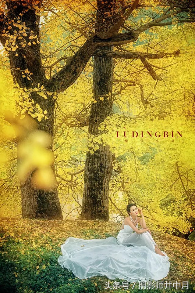 最好的摄影培训班排行榜,全国十大著名摄影培训机构电话