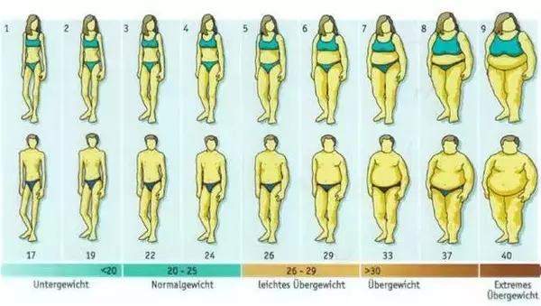 微胖的女生有什么好处,微胖的好处体现的淋漓尽致