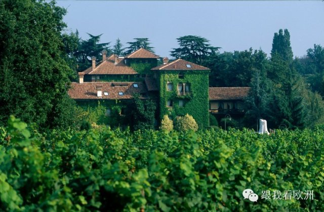 欧洲四大酒庄,世界十大奢华酒庄