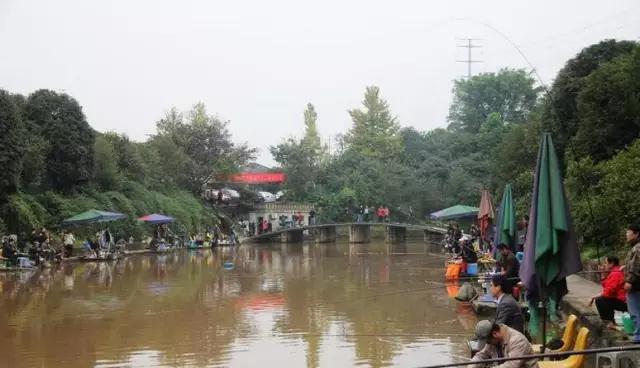 最新重庆周边钓鱼地点推荐,重庆免费钓鱼的最佳地点