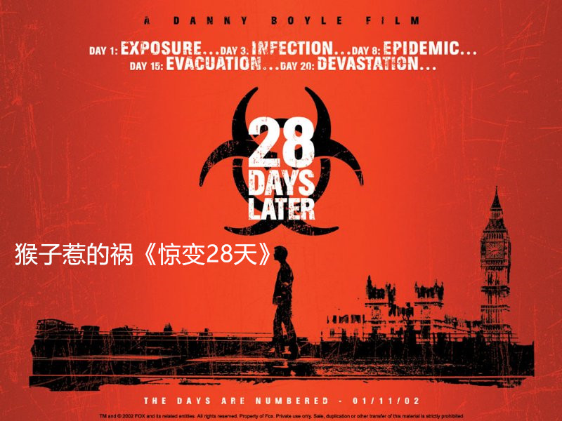 一口气看完十大丧尸电影,全世界全部最恐怖的丧尸电影大全