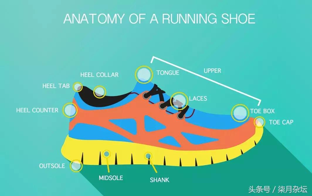 不弹的跑鞋,跑鞋中底为什么弹