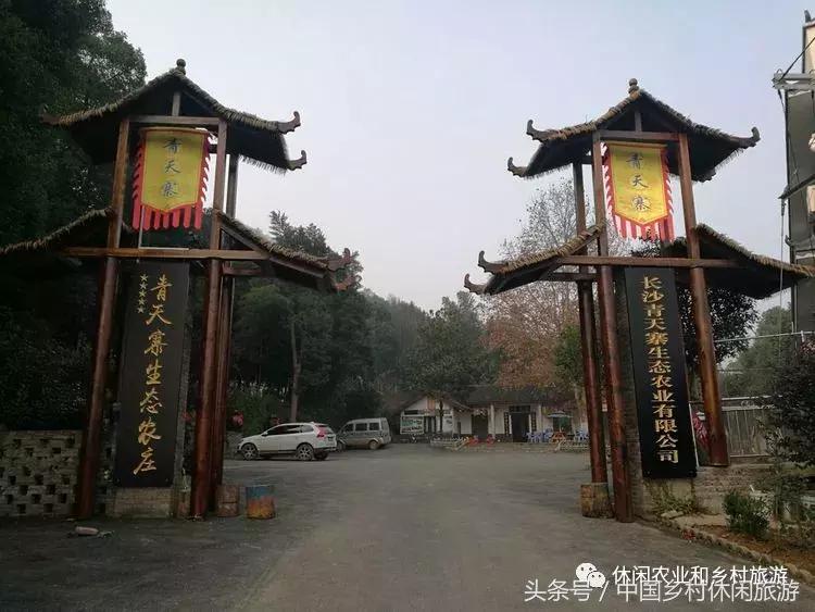 小农庄一年利润多少,二十亩地一年收入千万的小农庄