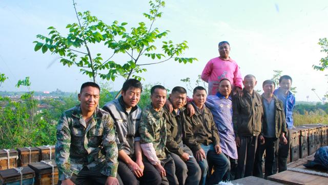 为什么超市蜂蜜那么便宜,市场上卖的蜂蜜为什么便宜