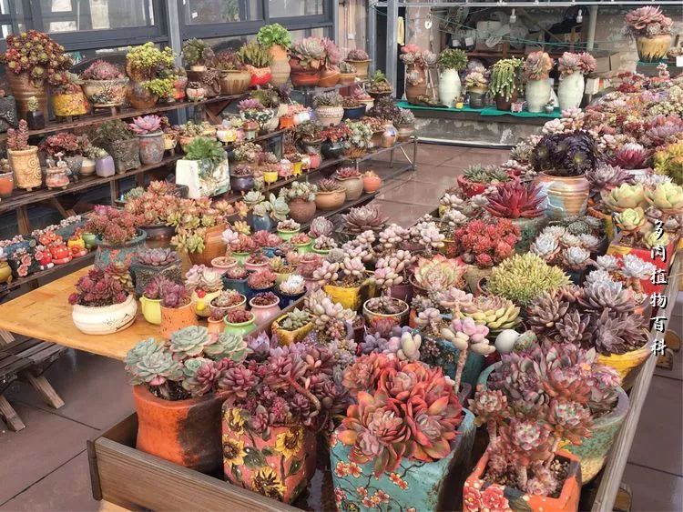 视觉盛宴美不胜收美图,视觉盛宴每个画面都美极了