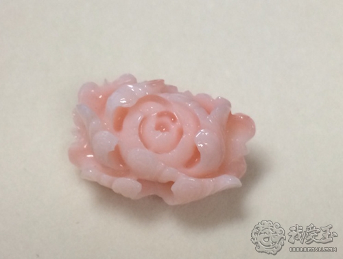 什么样的珊瑚是最好的,最好看的十种珊瑚