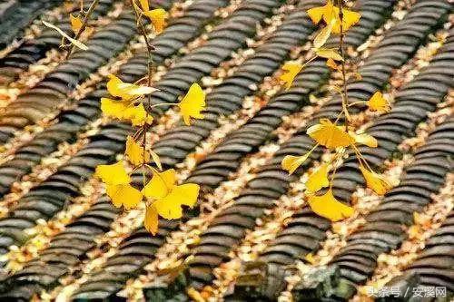 永春至德化高速最新路况今天,泉州安溪永春德化自驾旅游攻略