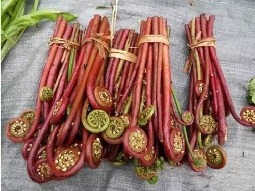 河南旅游美食攻略推荐,河南旅游美食小吃纪实