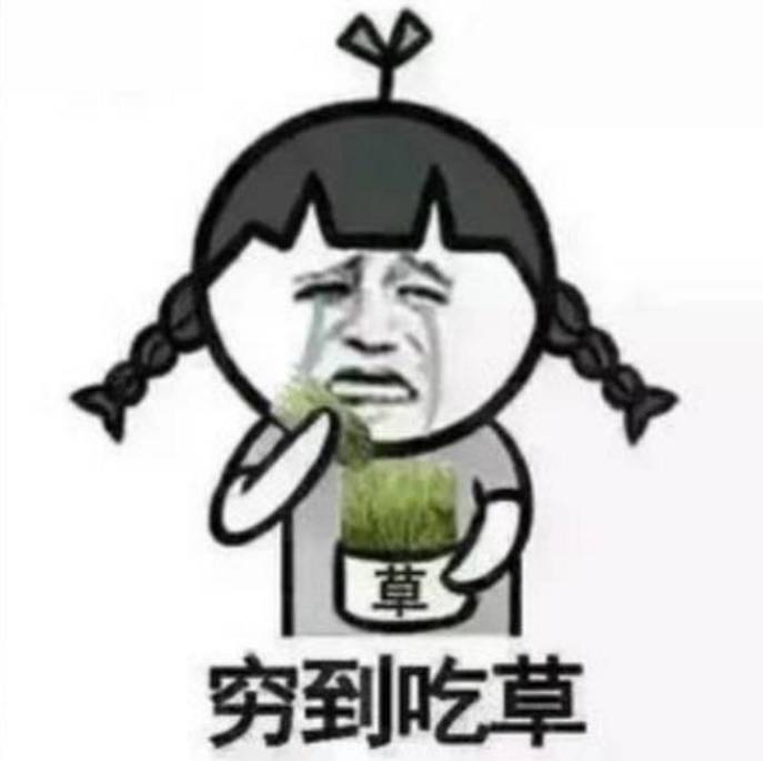 为了你掏空所有家底的视频,lv又贵又奇葩的东西