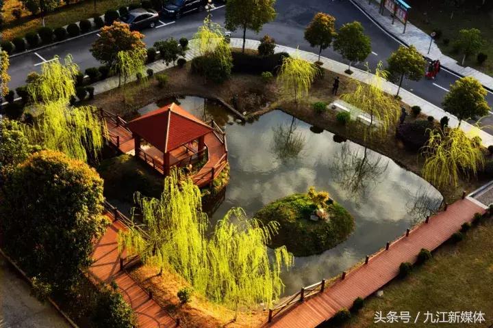 九江七中教育质量,九江七中成绩官网