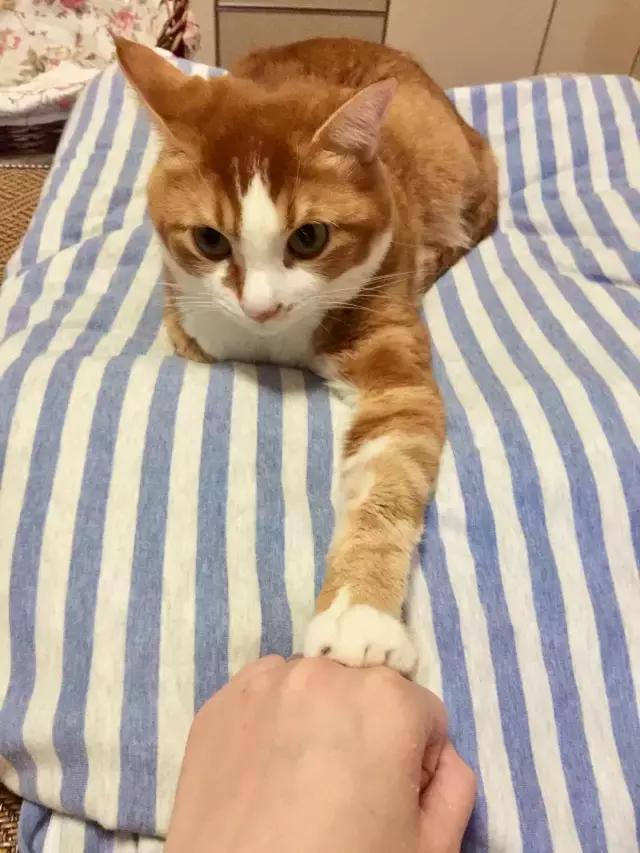 大牌护手霜推荐不踩雷,护手霜测评红黑榜春夏