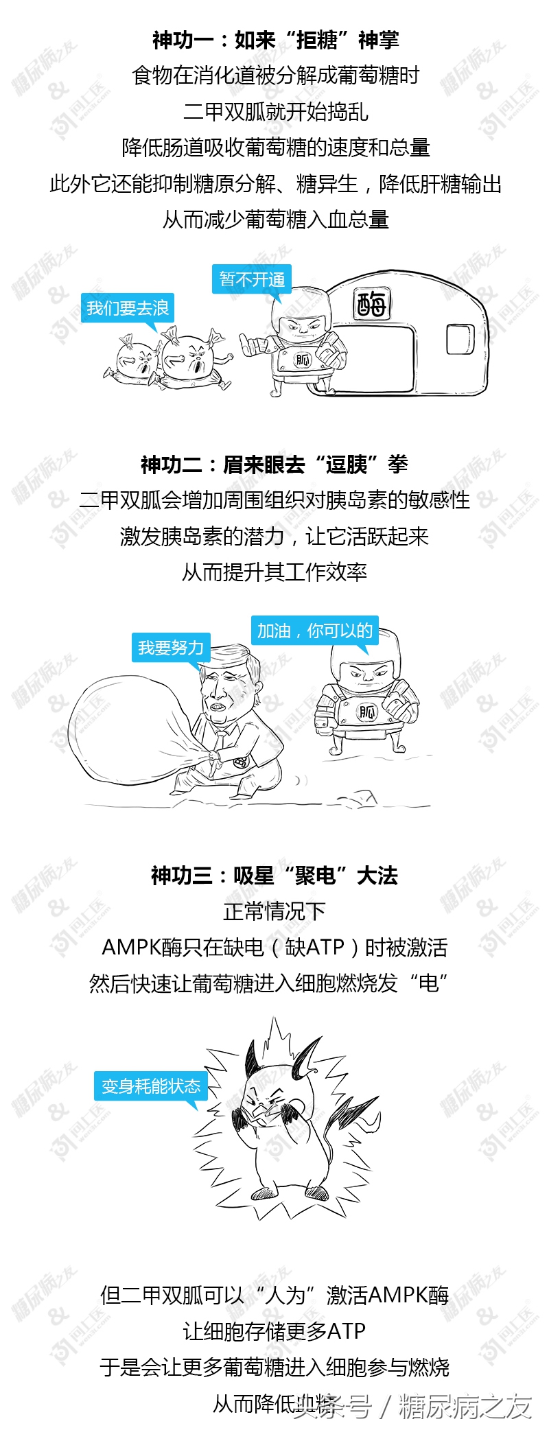 二甲双胍控糖药效多久,二甲双胍控制血糖效果