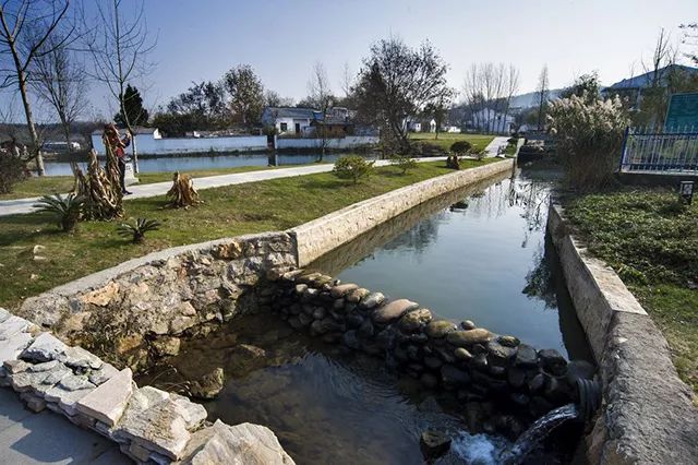 亲子推荐│蝶梦山丘—让蝶入梦、与蝶共舞