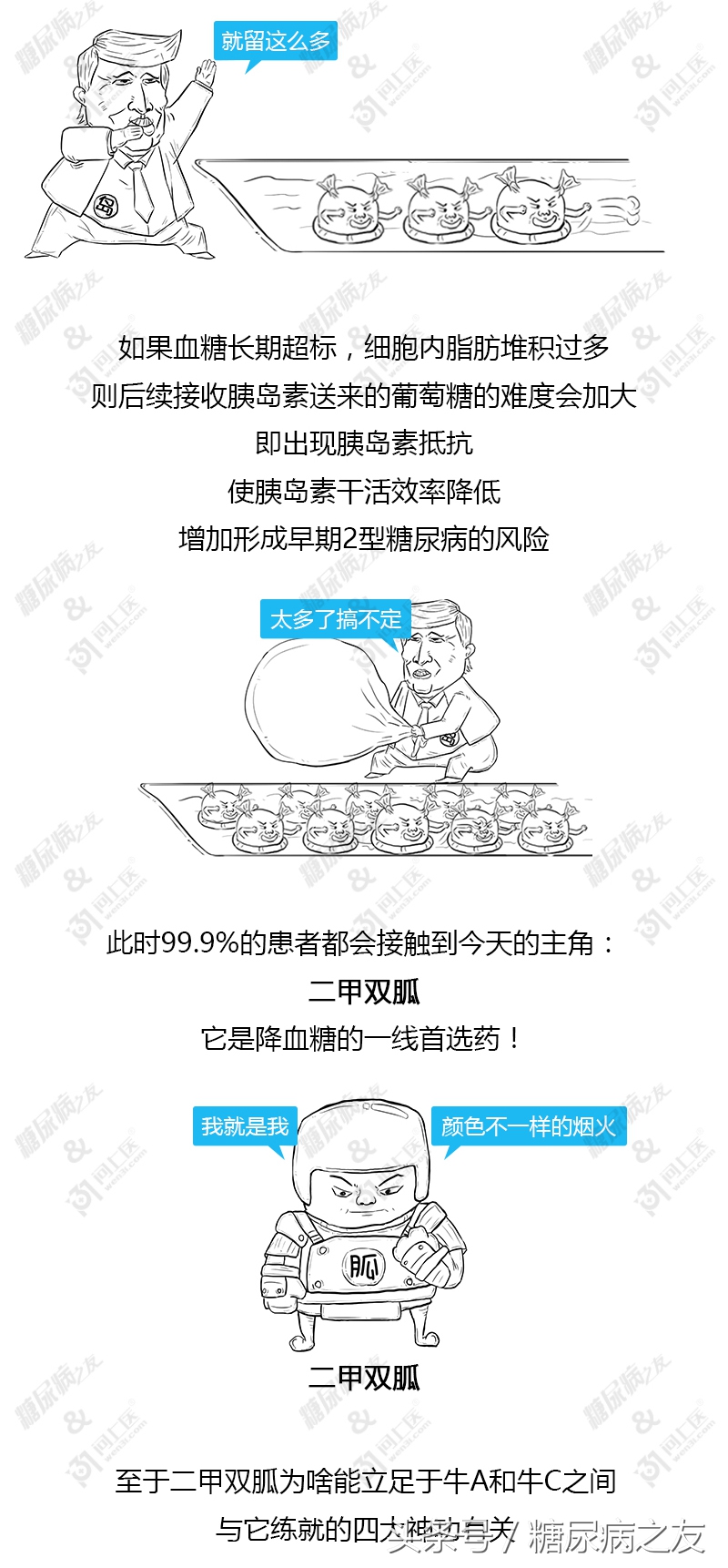 二甲双胍控糖药效多久,二甲双胍控制血糖效果