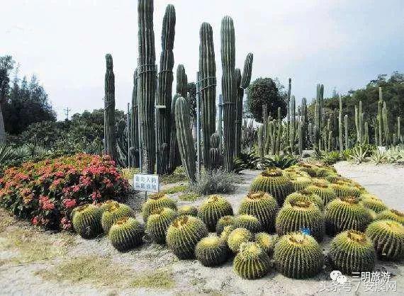 永春至德化高速最新路况今天,泉州安溪永春德化自驾旅游攻略