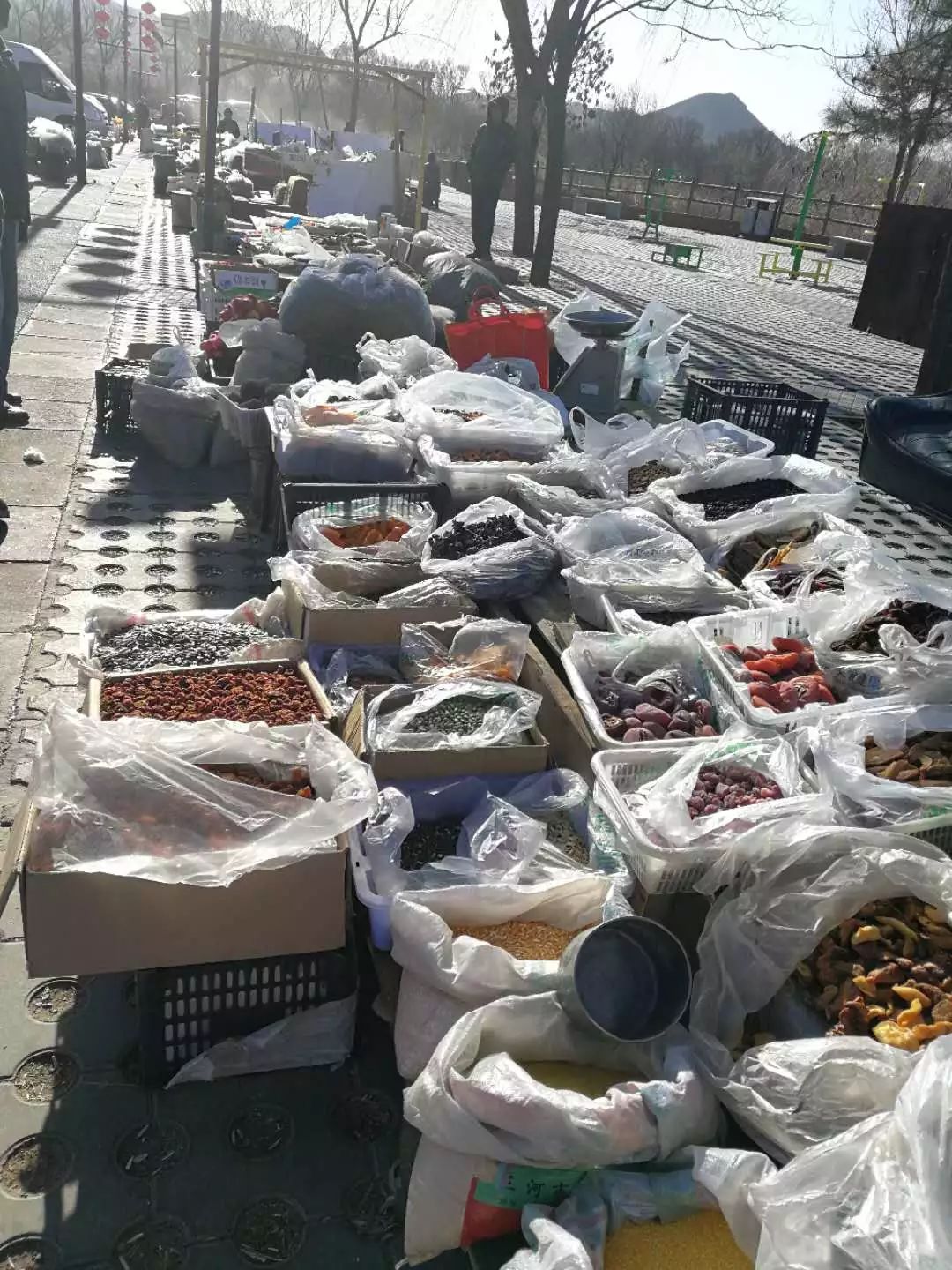 柳沟豆腐宴几个人最划算,柳沟豆腐宴几号最好吃