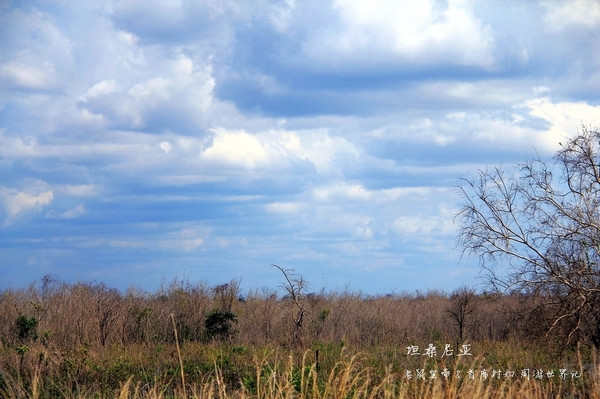 坦桑尼亚最富裕的地区,坦桑尼亚发展经济有利条件