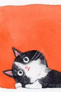 深圳周末活动,广州本周末活动