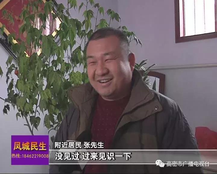 奇事｜一高密人在鸡肚子里发现个怪东西，快来看看你认不认识！