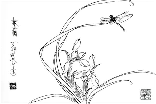 白描花卉技法基础入门,白描花卉简单入门