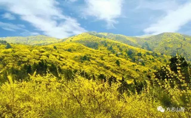 安泽古县五一旅游,安泽旅游景区有哪些