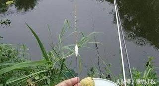 纳米浮漂表面是什么材料,纳米浮漂内部结构