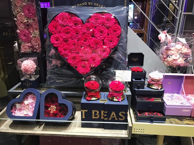 游记成都市内2日行,成都三日吃住行详细攻略