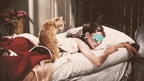 雅诗兰黛小棕瓶正品官方旗舰店,雅诗兰黛小棕瓶精华眼霜二合一