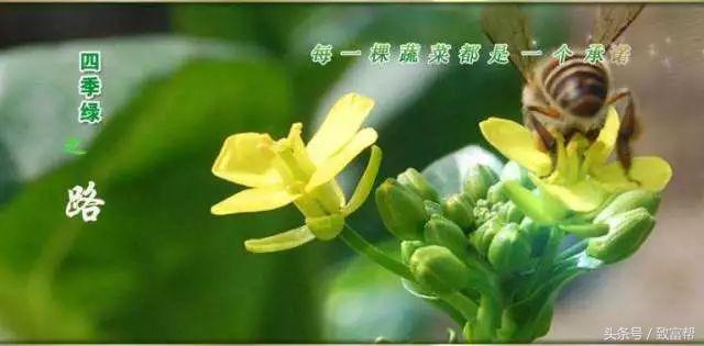 过去免费的致富的好商机,过去免费热门的致富点子