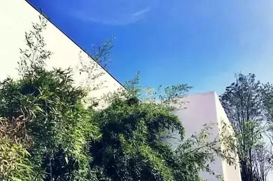 有什么项目可以拿国家补贴,国家扶持的项目补贴能给吗