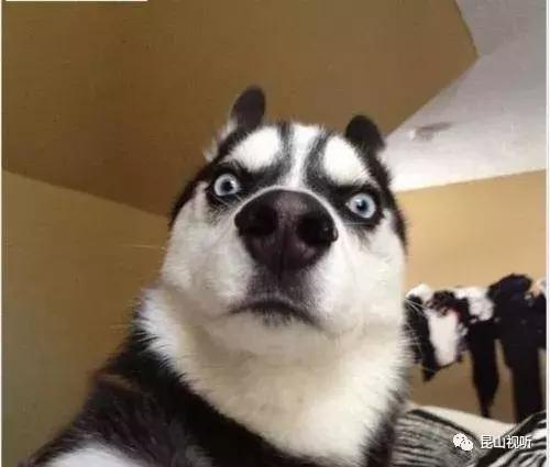 路边上有人抓眼虫是真的吗,用筷子真可以捉眼虫吗