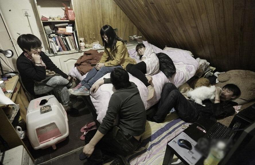 *款贷**租房,究竟是穷人的福利还是炒房者的狂欢?