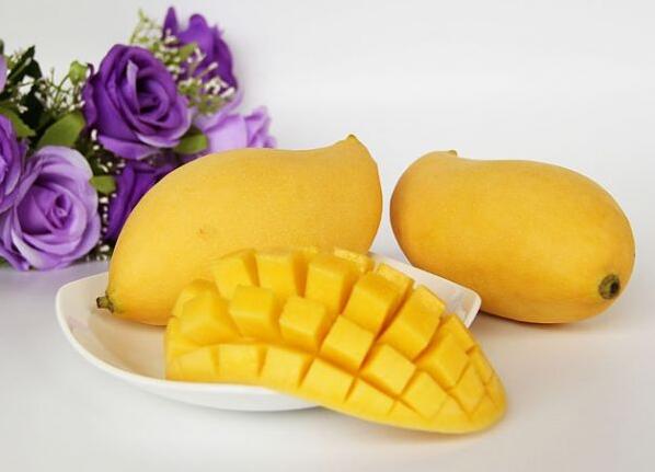 芒果有多少种品种图片,芒果有多少品种