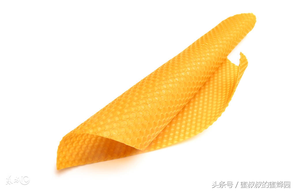 养蜂基础知识全集,养蜂一定要学会几个小技巧