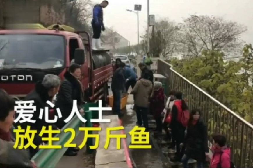 上游放鱼苗下游捞鱼苗,配合默契的团战