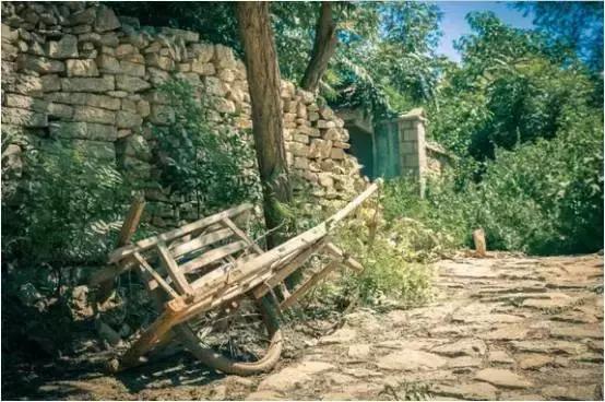 有什么项目可以拿国家补贴,国家扶持的项目补贴能给吗