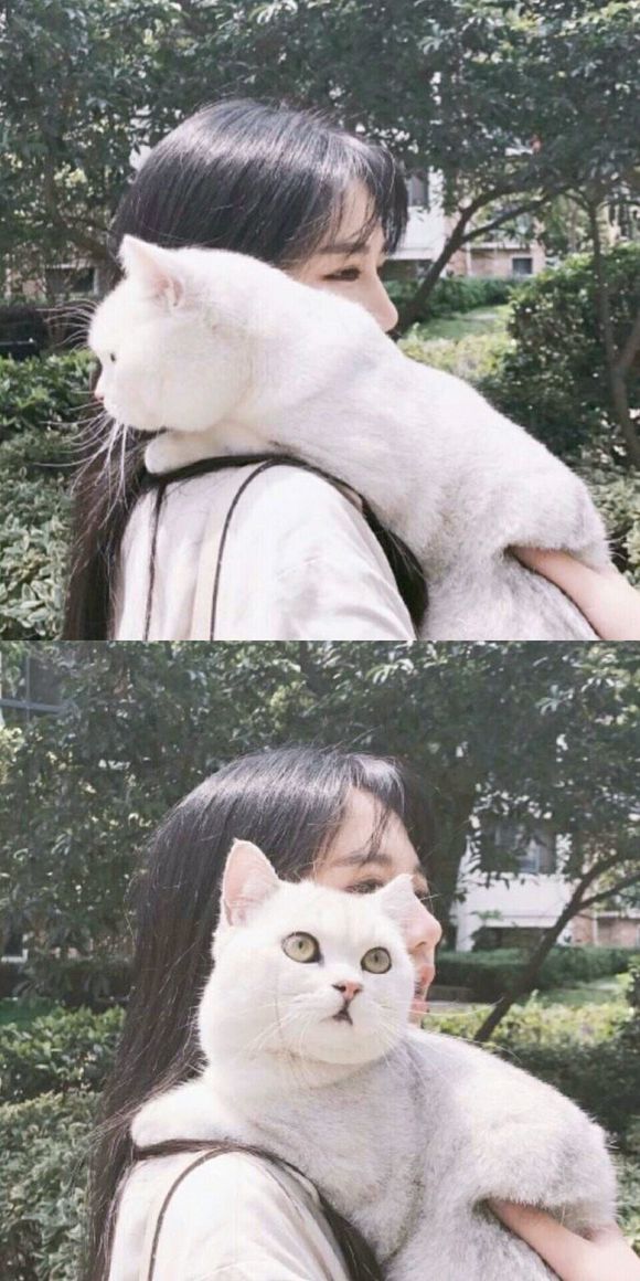 iPhone以及Android清纯唯美锁屏美女壁纸，一大波震撼来袭