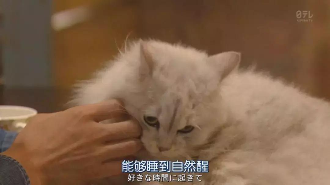 治愈伤心的十种方法？或许再下一次难过的时候，你可以试试看