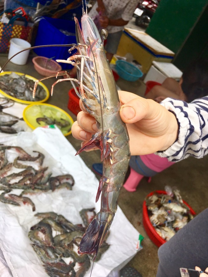 一个人越南攻略,一个人越南自驾游纪录片