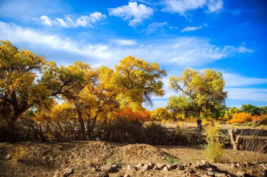 国内最值得自驾的7条绝美路线,自驾21条经典路线图