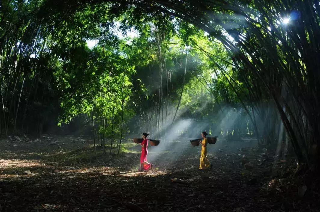面对人生的风景句子,人生的风景由你自己决定