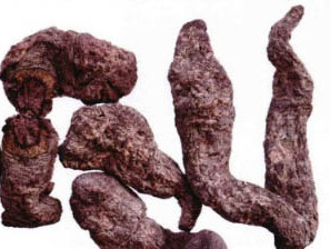 常用滋补中药地黄,药材故事地黄