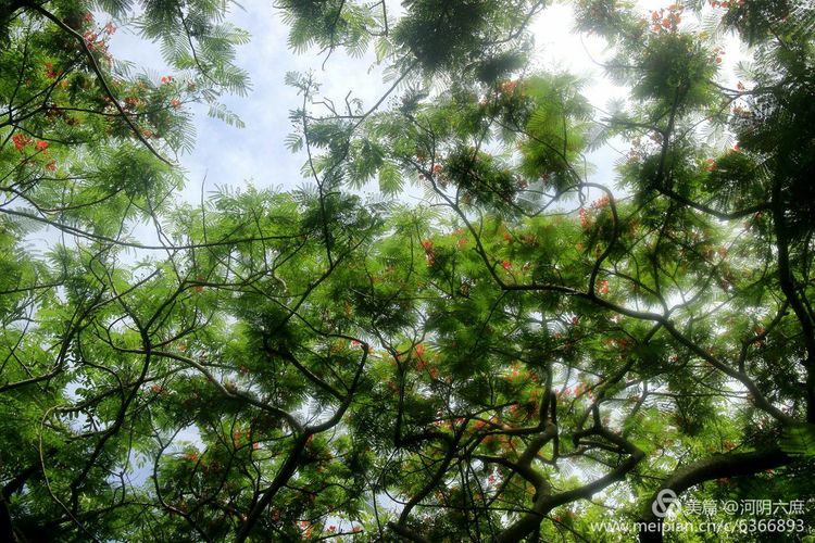 印度尼西亚巴厘岛印度教寺庙,巴厘岛最田园的热带风景