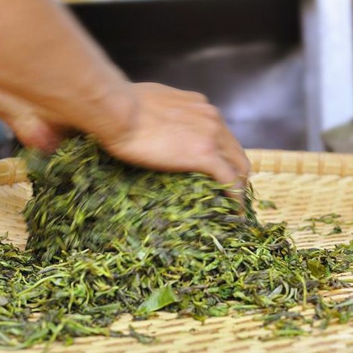 终须滚水走一趟，养就壶中满目春