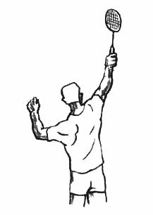 羽毛球基本功很重要羽毛球教学,羽毛球基础超详细教学