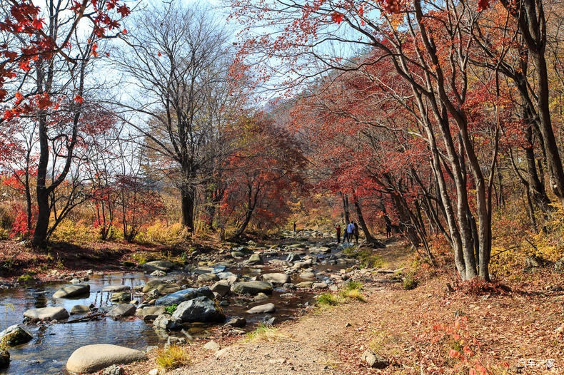 家乡之美美篇,家乡之美原唱完整版