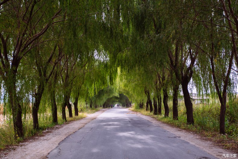 家乡之美美篇,家乡之美原唱完整版